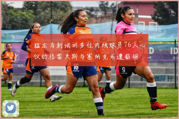猛龙马刺试训多位内线球员76人心仪的格雷夫斯与塞纳克或遭截胡